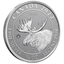Canada: Animal Portraits - Canadian Moose 3/4 uncji Srebra 2022