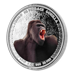 Congo: Goryl srebrnogrzbiety kolorowany 1 uncja Srebra 2017 Proof