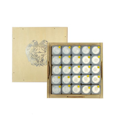 Noah's Ark 1/2 oz Silber 2024