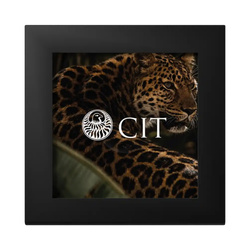 Aranytömb-érme Barre de Luxe - Leopard 0,5 g Arany 2026 Proof