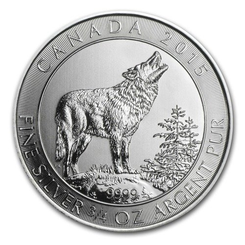 Lobo gris 1,5 oz Plata