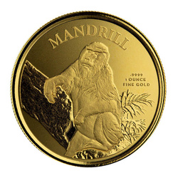 Cameroon: Mandrilll 1 uncja Złota 2021 Proof