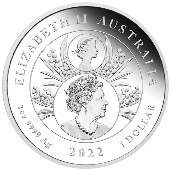 Jubileo de Platino de la Reina 1 oz Plata 2022 Proof