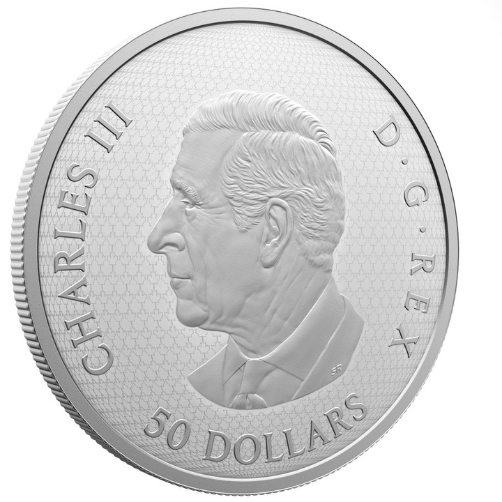 Kanada: The Goldfinch and the Bloom pozlacené 50 $ stříbro 2025 Proof