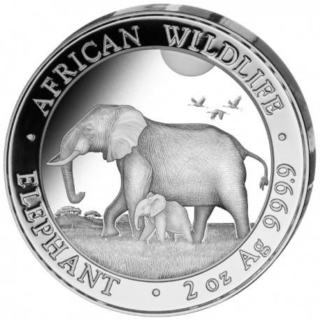 African Wildlife: Somalia Elephant 2 oz Silber 2022