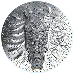 Niue: Anno del Cavallo 2 once d'argento 2026 Prooflike