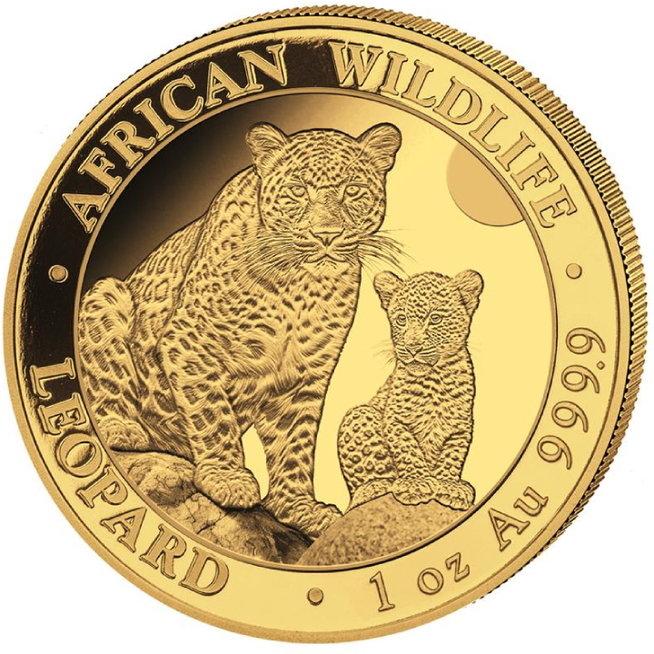 Somalia: African Wildlife - Leopard 1 oz Gold 2024