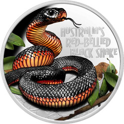 Tuvalu: Deadly and Dangerous Red-bellied Black Snake kolorowany 1 uncja Srebra 2022 Proof