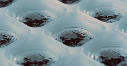 Britannia 1 oz Silver 2021