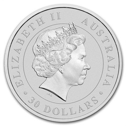 Koala 1000 gram Silver