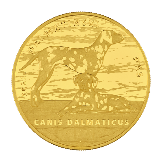Croatia: Dalmatian Dog coloured 1 oz Gold 2021