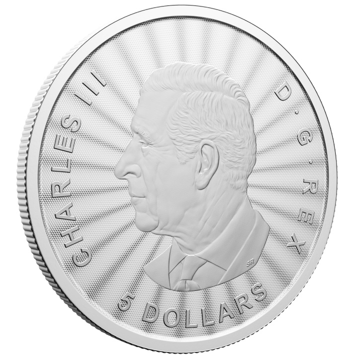 Kanada: The Majestic Polar Bear 1 oz Silver 2025