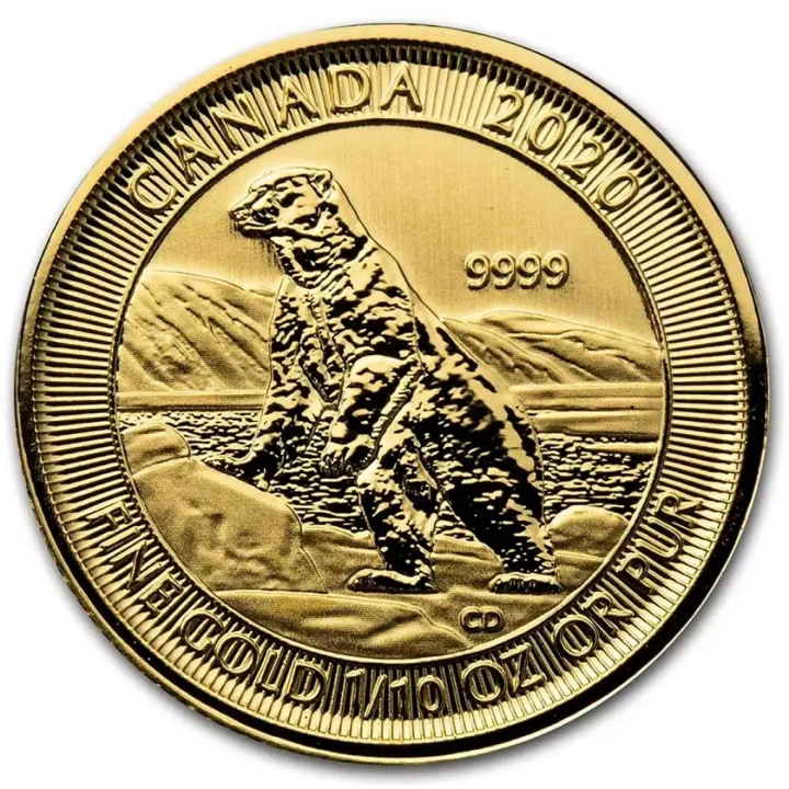 Canadian Polar Bear 1/10 oz Gold 2020