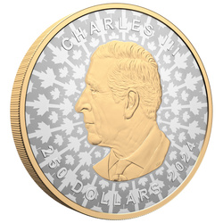 Feuille d'érable canadienne - Super incuse plaquée or 1000 grammes d'argent 2024 Reverse Proof