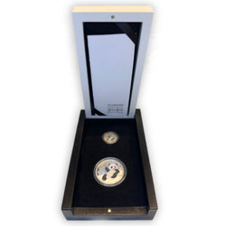 Chińska Panda zestaw 2 monet - 8 gram Złota i 30 gramów Srebra 2020 Diamond Prestige