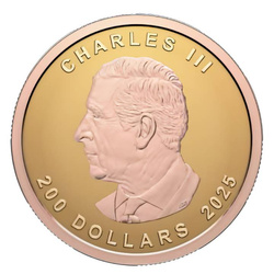 Kanadský Javorový List 1 oz Zlata 2025 Reverse Proof Ultra High Relief