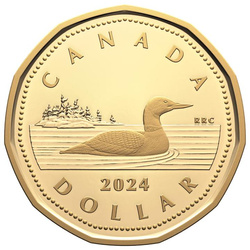 Zestaw Canada: 100th Anniversary of the Royal Canadian Air Force - Special Edition 7 srebrnych monet 2024 Proof