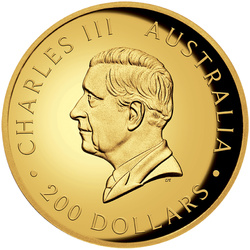 Canguro australiano 2 once d'oro 2024 Proof High Relief