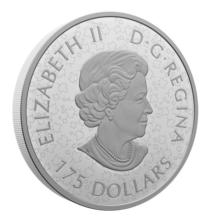 Canada: Birds In Shadow Box $175 2022 Silber Proof Coin (R&D LAB)