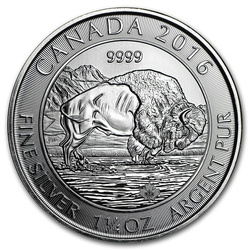 Canada: Bison 1 ¼ Silber 2016