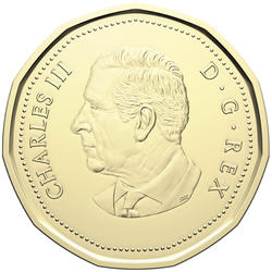 Canadian Baby 6 Coin 2024 Set