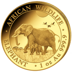 Faune africaine : Éléphant de Somalie 1 once d'or 2022