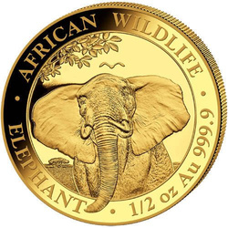 African Wildlife: Słoń Somalijski 1/2 uncji Złota 2021