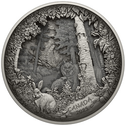 Kanada: Predator oder Prey in Shadow Box $175 2025 Silber Antique Finish Münze