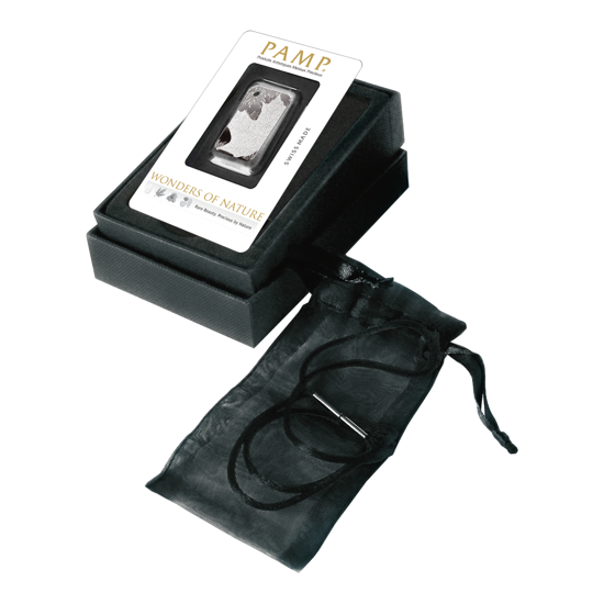 10 gram Bar Silver PAMP Maple Leafs