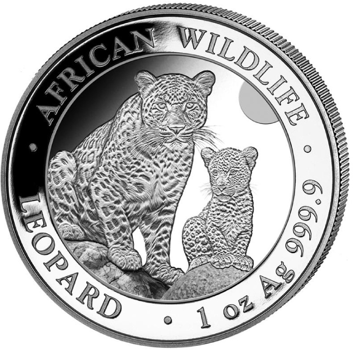 Somalia: African Wildlife - Leopard 1 oz Silber 2024