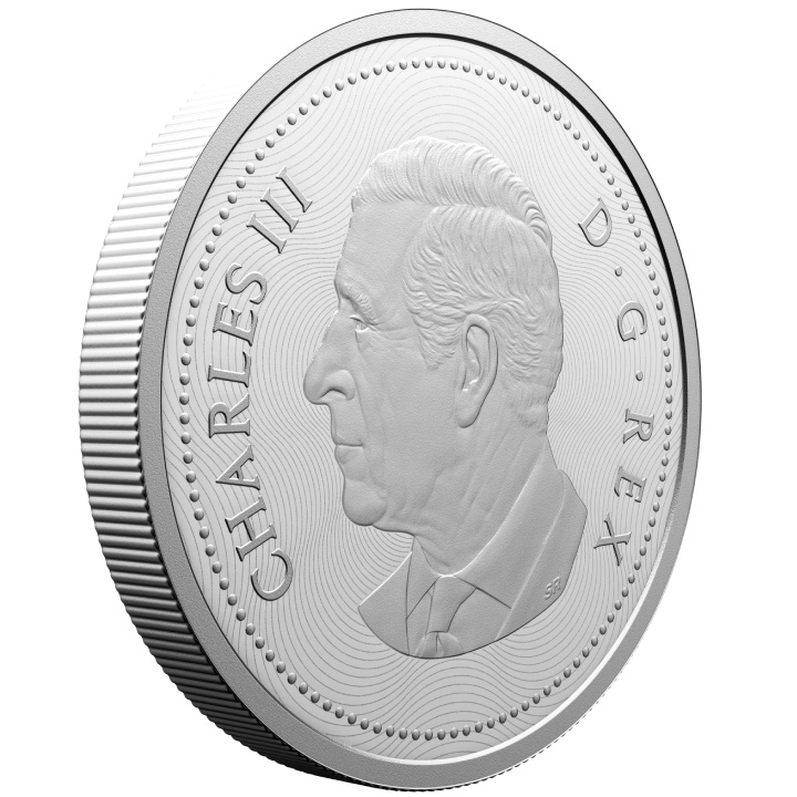 Canada : Castor multicouche 5 cents en argent 2025 Proof
