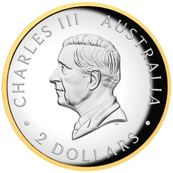 Kookaburra dorada 2 onzas de plata 2025 Moneda Proof High Relief