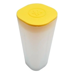 Maple Leaf canadese 1 oz argento 2026