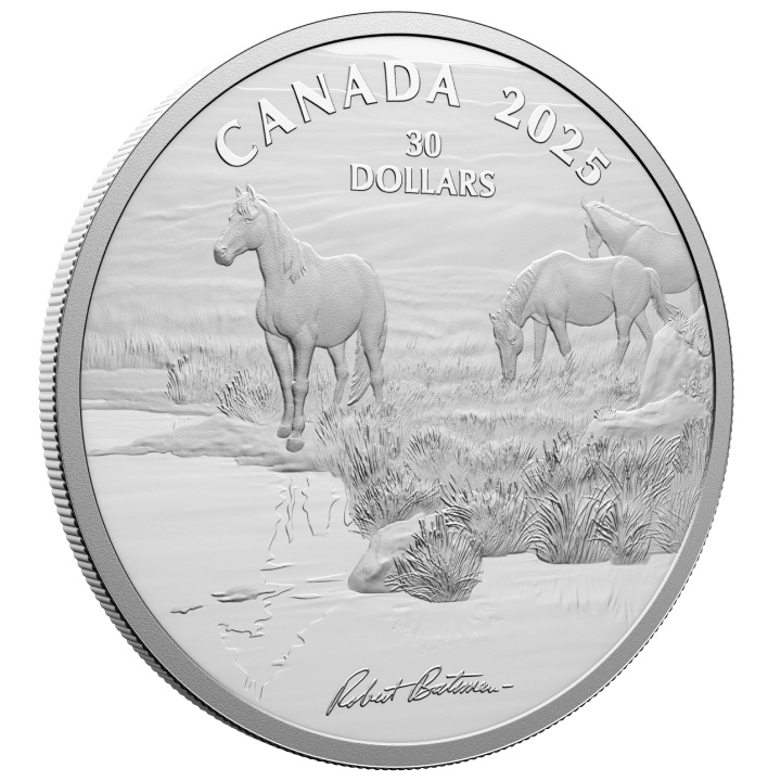 Kanada: Mustang Country von Robert Bateman $30 Silber 2025 Proof-Münze