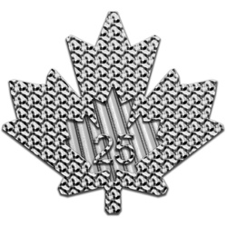 Feuille d'érable canadienne 1 once de platine 2025