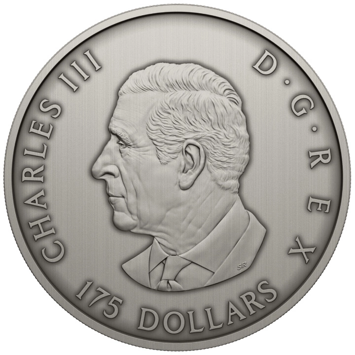 Canada : Prédateur ou proie dans un cadre vitré 175 Argent 2025 Finition antique