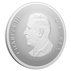 Canada: Remembrance Day kolorowany 1 uncja Srebra 2025 Proof