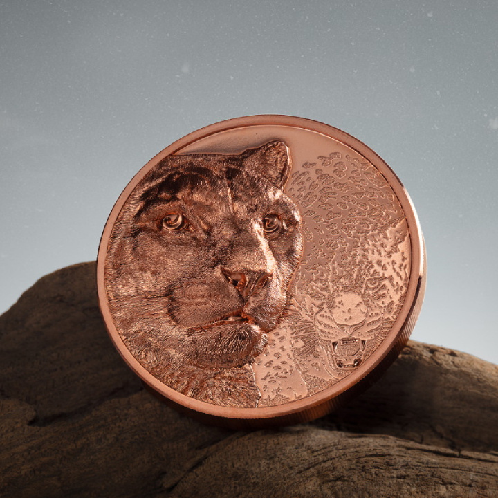 Mongolia: Snow Leopard 50 gramów Miedzi 2024 Prooflike