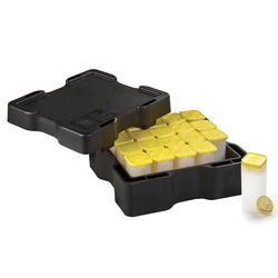  The Lion and The Eagle 1/10 uncji Złota 2025