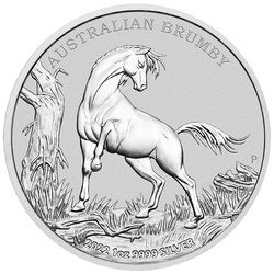 Cavallo selvaggio australiano - Brumby 1 oncia d'argento 2022