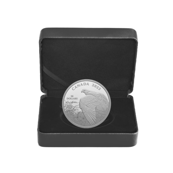 Canada: Vantage Point - Bald Eagle 2 oz Silver 2023 Proof