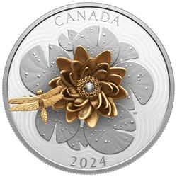 Canada: The Dragonfly and the Bloom $50 Silber 2024 Gilded Proof Coin