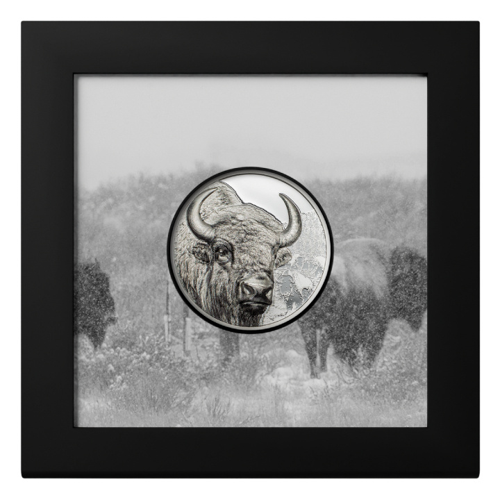 Mongolia: Bisonte 1 oncia d'argento 2025 Proof