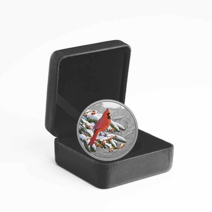 Canadá: Colorful Birds - Northern Cardinal coloured $20 Plata 2023 Proof
