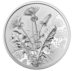 The Dandelion 10 Euro Silver 2022