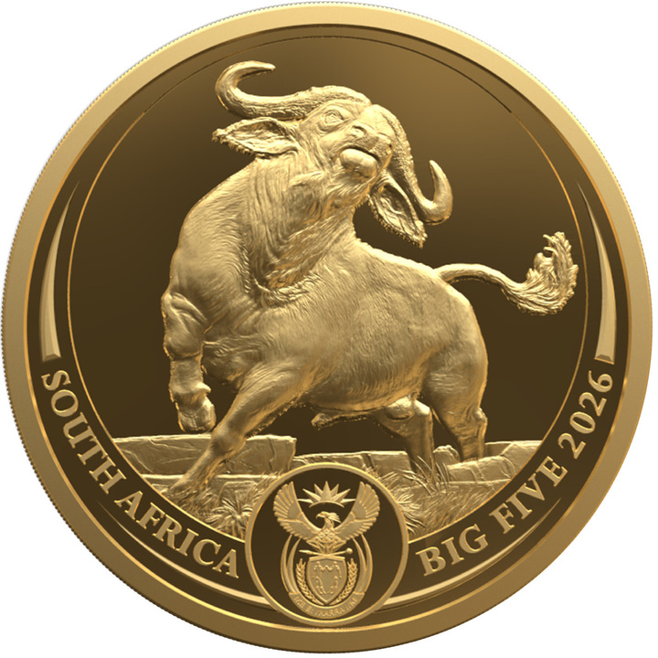 Złota Moneta Big Five III: Buffalo 1/4 uncji Złota 2026 Proof