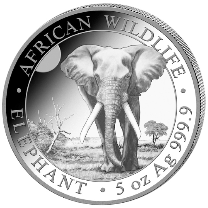 African Wildlife: Słoń Somalijski 5 uncji Srebra 2025