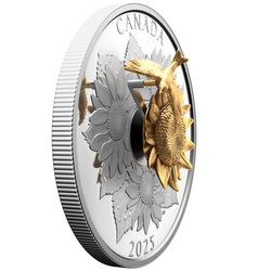 Canada: Il cardellino e il fiore placcato in oro $50 Argento 2025 Proof