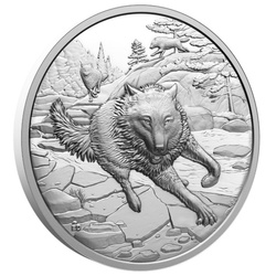 Canada : Grands chasseurs - Loup gris 20 argent 2025 Proof Ultra High Relief Coin