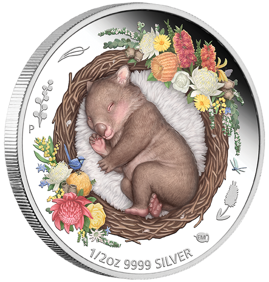 Dreaming Down Under: Wombat Durmiente coloreado 1/2 oz Plata 2021 Proof